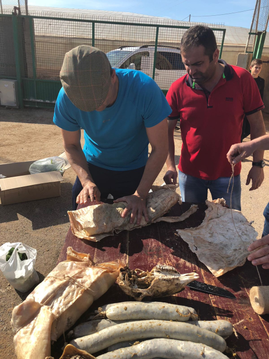 BIOCONSULT consultoría agrícola