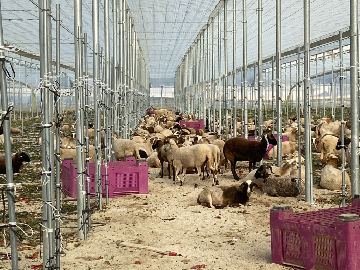 BIOCONSULT consultoría agrícola