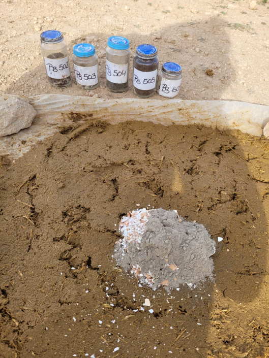 BIOCONSULT consultoría agrícola