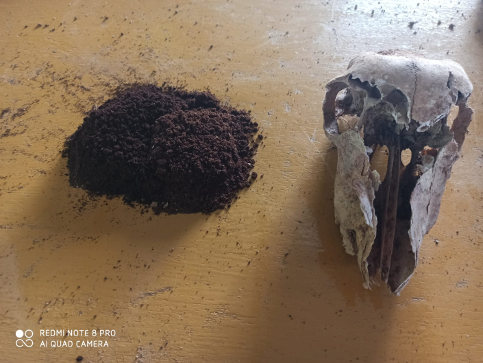 BIOCONSULT consultoría agrícola