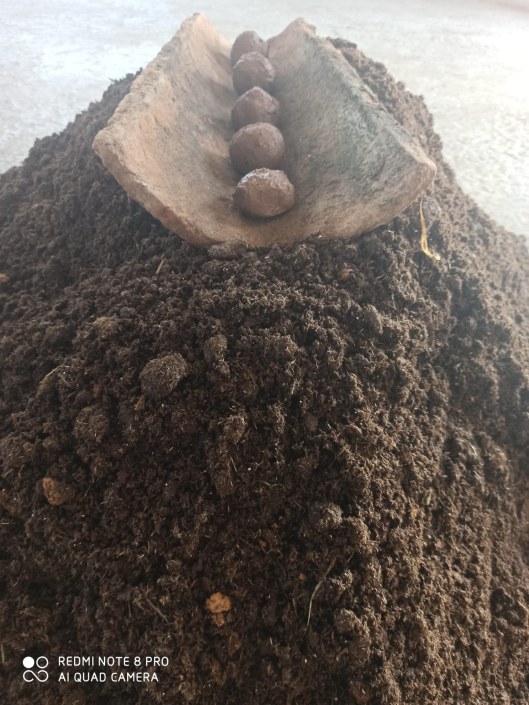 BIOCONSULT consultoría agrícola