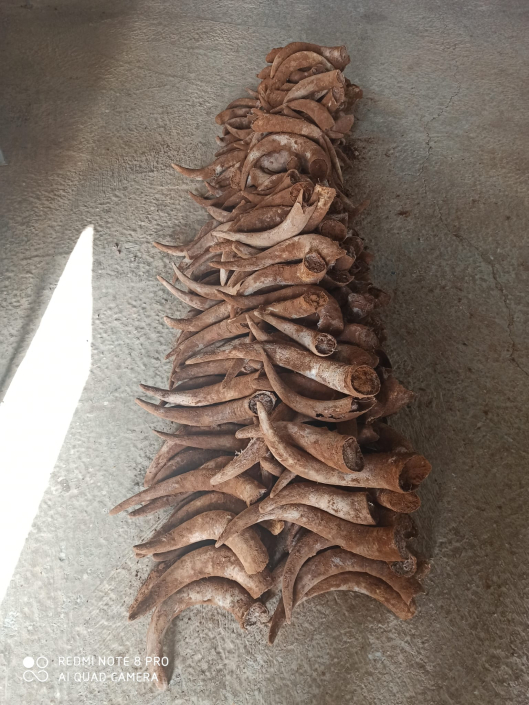 BIOCONSULT consultoría agrícola