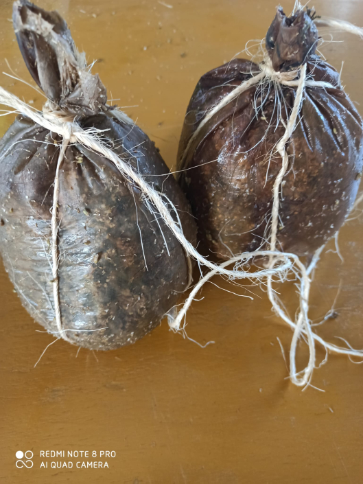 BIOCONSULT consultoría agrícola