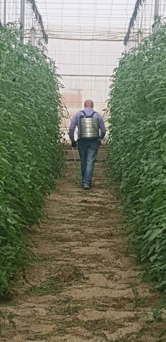 BIOCONSULT consultoría agrícola