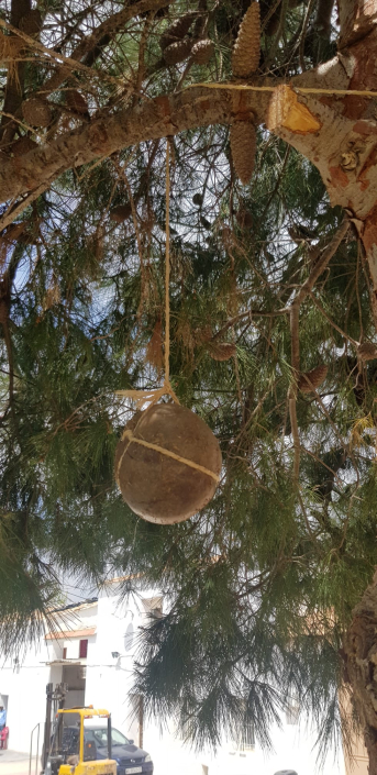 BIOCONSULT consultoría agrícola