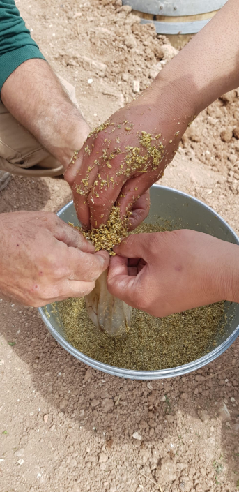 BIOCONSULT consultoría agrícola