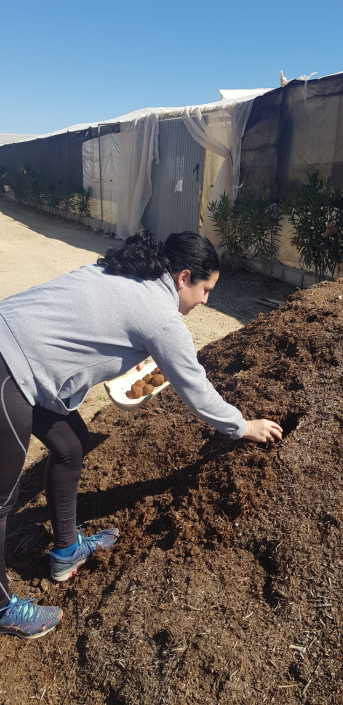 BIOCONSULT consultoría agrícola